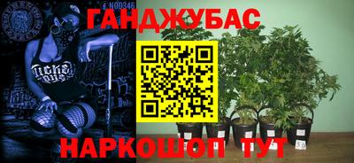 крисы Бугуруслан