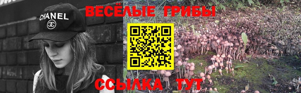 Галлюциногенные грибы мухоморы Сланцы