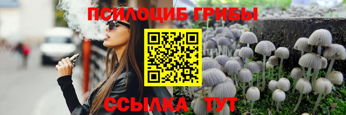 закладки  Вход с VPN  Сланцы  Галлюциногенные грибы MAGIC MUSHROOMS 